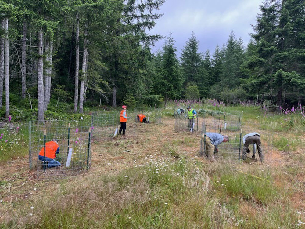 Crew weeding north end of meadow