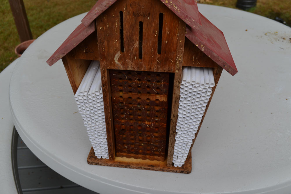 Fresh straws and sanitized laminated blocks